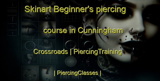 Skinart Beginner's piercing course in Cunningham Crossroads | PiercingTraining | PiercingClasses | SkinartTraining-United States